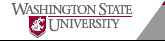 Washington State University Logo